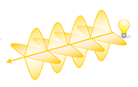Polarization directions