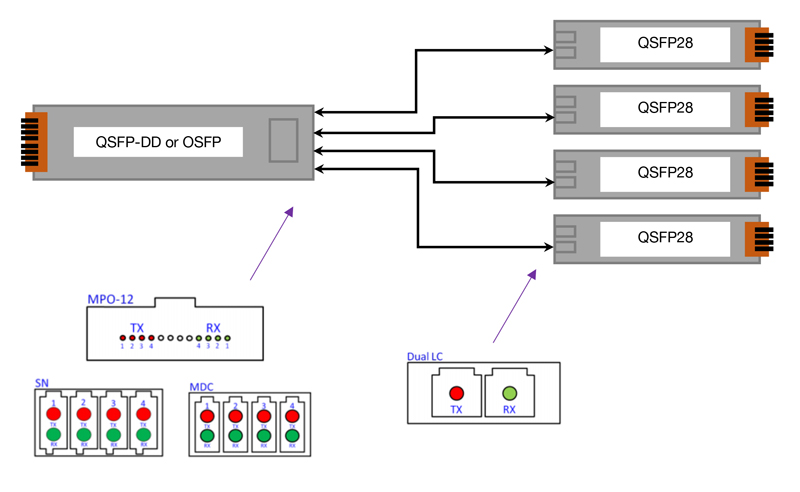 In this case, an OSFP/QSFP-DD DR4 (QBP13P50E0PF) or DR4+ (QBP13002E0PF) is used in front of four QSFP28 DR1 (Q2C13P50C00F).<br /> The setup is, in this case, rather simple since it only requires a fiber split from the MPO patch cord (to four dual LC connectors). In the case of SN or MDC connector, four separate patch cords can be used.