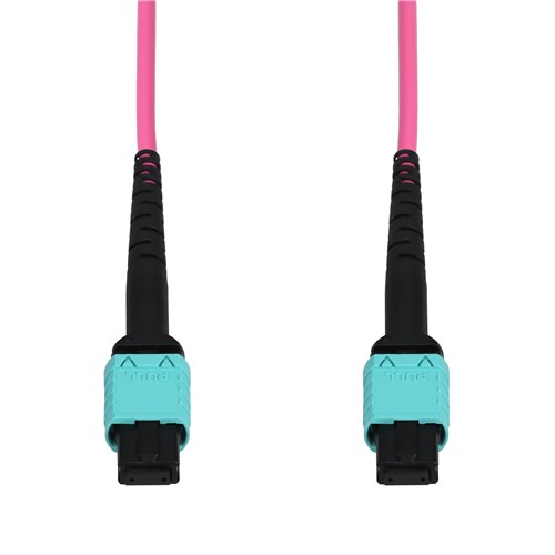 Picture of 80m MPO/UPC to MPO/UPC Magenta (Erika Violet) OM4 LSZH 12-Strand Fiber Patch Cable